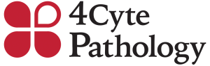 4 cyte pathology